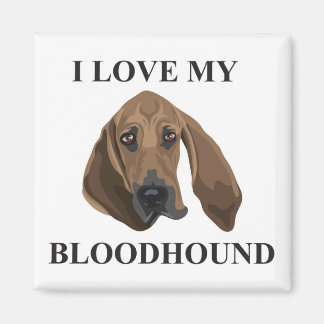 Bloedhond Love Magneet