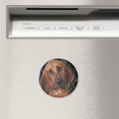 bloedhond magneet (Insitu (Vaatwasser))
