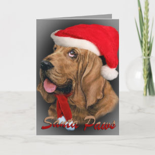 Bloedhond Santa Paws kaarten