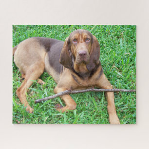 Bloedhond - Scent Hond in het gras jagen Legpuzzel