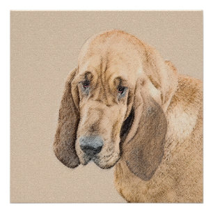 Bloedhond schilderen - Kute Original Dog Art Perfect Poster