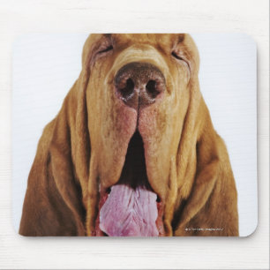 Bloedhond (St. Hubert Hound) met gesloten ogen, Muismat