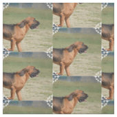 bloedhond stof (Swatch)