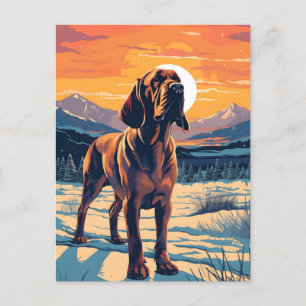 Bloedhond winter bergbos tijdens zonsondergang briefkaart