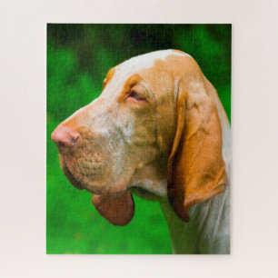 Bloedhonden Legpuzzel