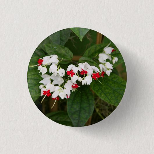 Bloeding Hartslag VIne Button (Voorkant)