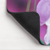 bloeding in de tuin. Krediet Muismat (Hoek)