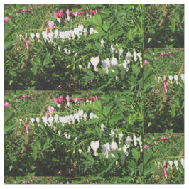 Bloedingen Hartenroze witte foto Stof