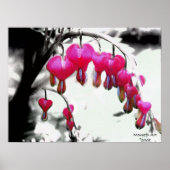 Bloedingen Poster (Voorkant)