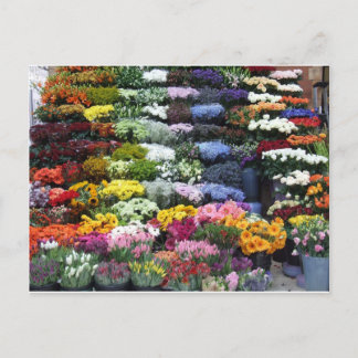 Bloedmarkt Briefkaart
