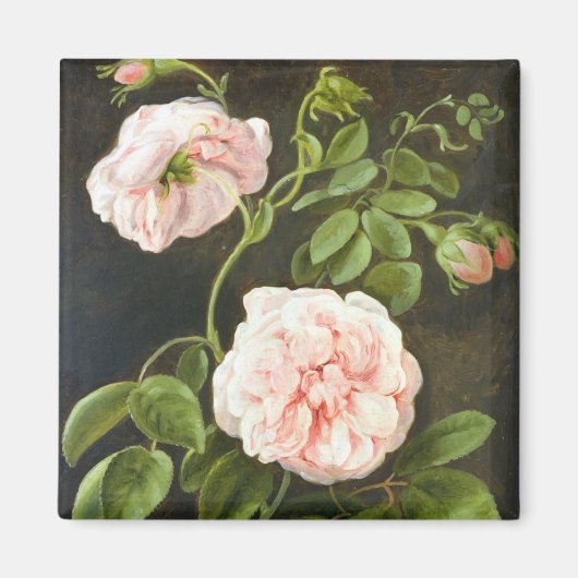 Bloedonderzoek Magneet (Voorkant)