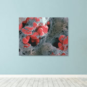 Bloedstolsel 2 canvas afdruk (Insitu (Houten vloer))