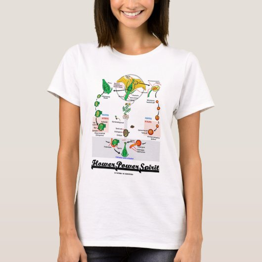 Bloedstroom (Angiosperm Life Cycle) T-shirt (Voorkant)