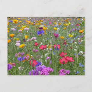 Bloedtuin Briefkaart