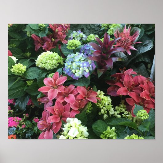 Bloedtuin Poster (Voorkant)