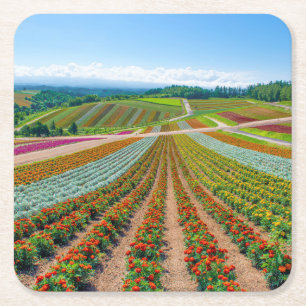 Bloedtuin Shikisai No Oka Flower Boerderij Vierkante Kartonnen Onderzetter