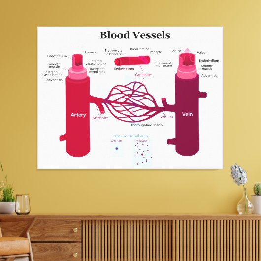 Bloedvataanstekers Veindediagram Canvas Afdruk (Insitu (Woonkamer))
