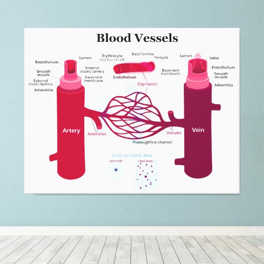 Bloedvataanstekers Veindediagram Canvas Afdruk (Insitu (Houten vloer))