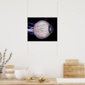 Bloedvaten van het oog poster (Keuken)