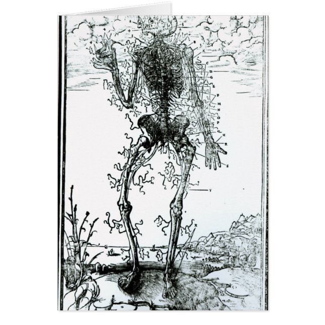 Bloedvatsysteem van het lichaam (Voorkant)