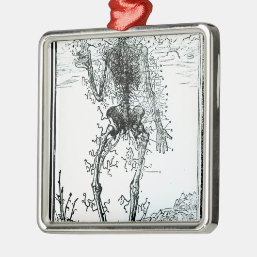 Bloedvatsysteem van het lichaam metalen ornament (Links)