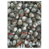 Bloedzuigdeksels Klembord (Achterkant)