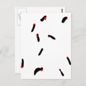 bloedzuigers briefkaart (Voorkant / Achterkant)