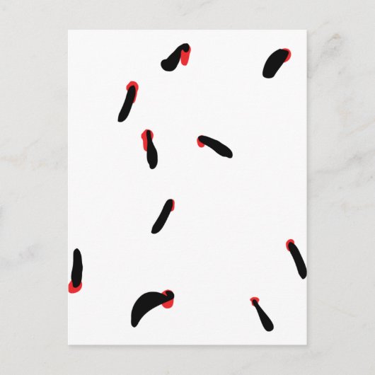 bloedzuigers briefkaart (Voorkant)