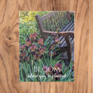 Bloei waar je geplant Irisbloemen Legpuzzel