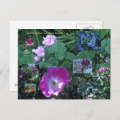 Bloeien boven alles bloeien briefkaart (Voorkant / Achterkant)
