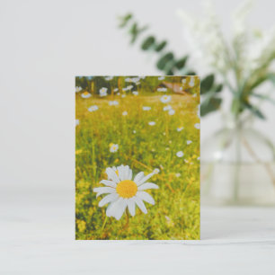 Bloeiend Scandinavisch zomer veld Briefkaart