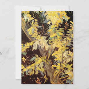Bloeiende Acacia Takken door Vincent van Gogh