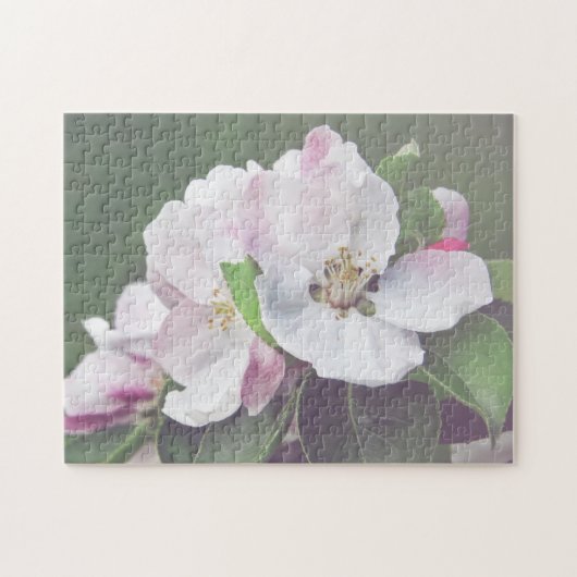 Bloeiende appelboom puzzel legpuzzel (Horizontaal)