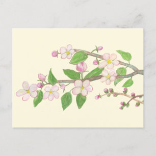 Bloeiende appelboomtak briefkaart