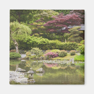Bloeiende bloemen in de Japanse tuin, Magneet