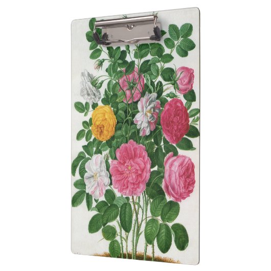 bloeiende bloemen, Rozen van de lentuin Klembord (Links)