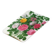  bloeiende bloemen, Rozen van de lentuin Magneet (Linkerzijde)