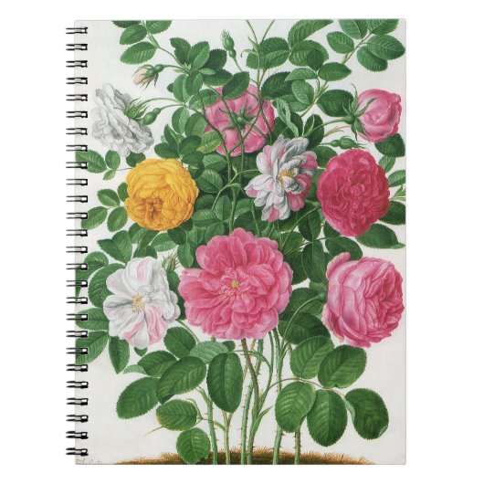  bloeiende bloemen, Rozen van de lentuin Notitieboek (Voorkant)