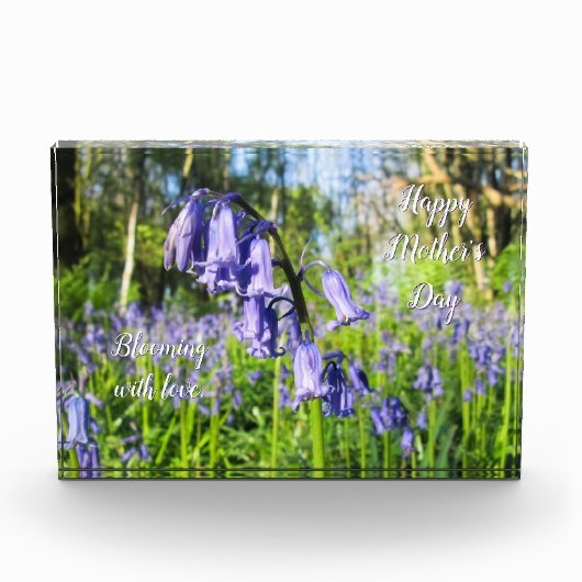 Bloeiende Bluebells - Gepersonaliseerde Moederdag Fotoblokken (Voorkant)