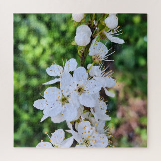 Bloeiende boom in de lente Roemenië – Bloesemfotog Legpuzzel