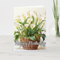 Bloeiende Calla Lily Bloemen