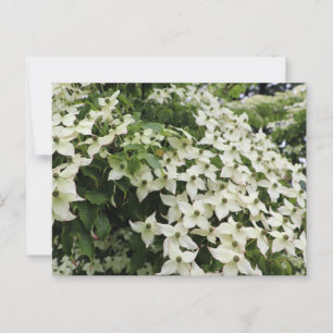 Bloeiende Cornussen in Marshall Briefkaart