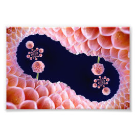 bloeiende gedachten foto afdruk