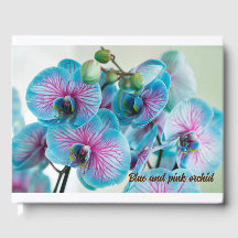 Bloeiende geïsoleerd op een witte achtergrond