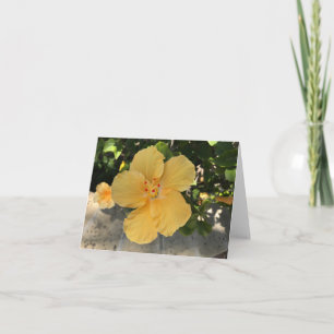 Bloeiende gele bloem kaart
