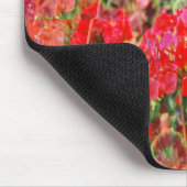 Bloeiende geraniums.... muismat (Hoek)