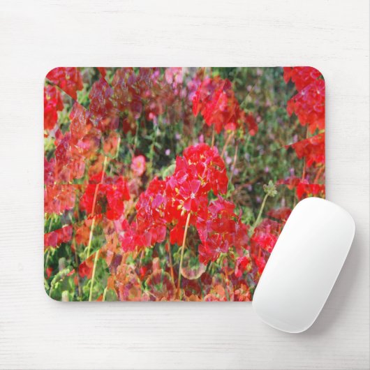 Bloeiende geraniums.... muismat (Met muis)