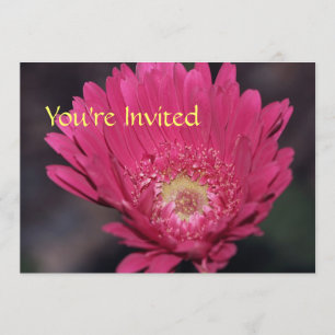 Bloeiende Gerbera Uitnodiging