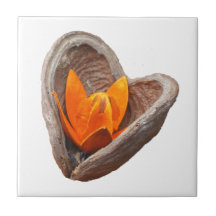 Bloeiende hart tegel