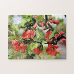 Bloeiende Kweepruimrode Bloesems Natuur Legpuzzel
